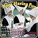 Nuns Having Fun 2016 Calendar
