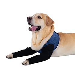 Coodeo Dog Recovery Sleeves, Cone Collar