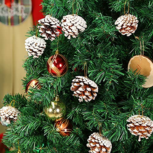 JOHOUSE 24PCS White Pine Cones , Snow PineCones Christmas Pine Cones Natural Pine Cones for Autumn and Winter Decor Christmas Decorations