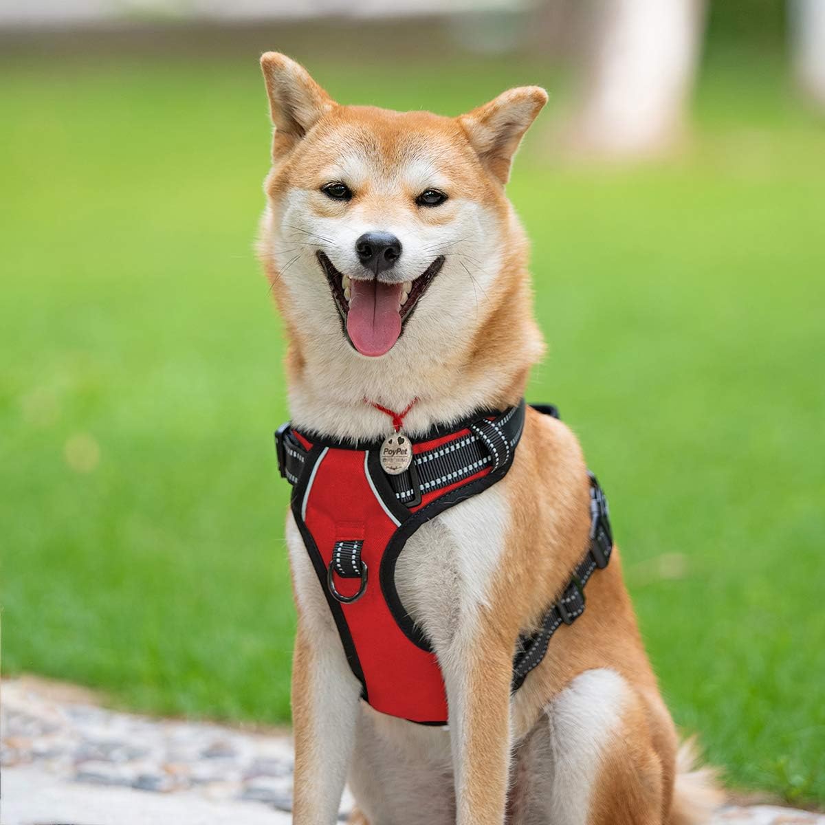 PoyPet No Pull Dog Harness, Reflective Vest Harness with 2 Leash Attachments and Easy Control Handle for Small Medium Large Dog(Red,M) - Image 3