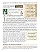 Hebrew Word Pictures: How Does the Hebrew Alphabet Reveal Prophetic Truths?