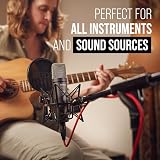 RØDE NT1 5th Gen Large-Diaphragm Studio Condenser Mic with XLR USB Shock Mount view 5