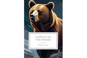 Secrets of the Woods