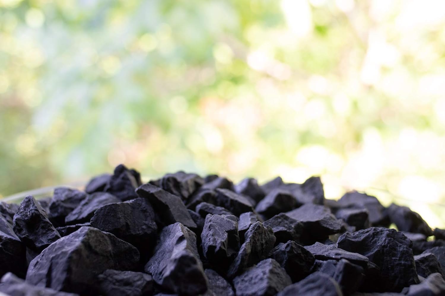 wellness hut Shungite Stones 1 lb (454 g) - for Shungite Water & EMF Protection: Home & Kitchen