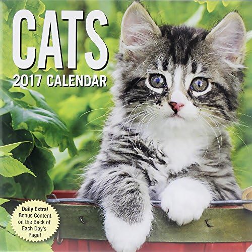 2017 Cats Mini Page- A- Day Daily Desk Calendar, Multicolor, 6.5" x 6.2" x 0.4"