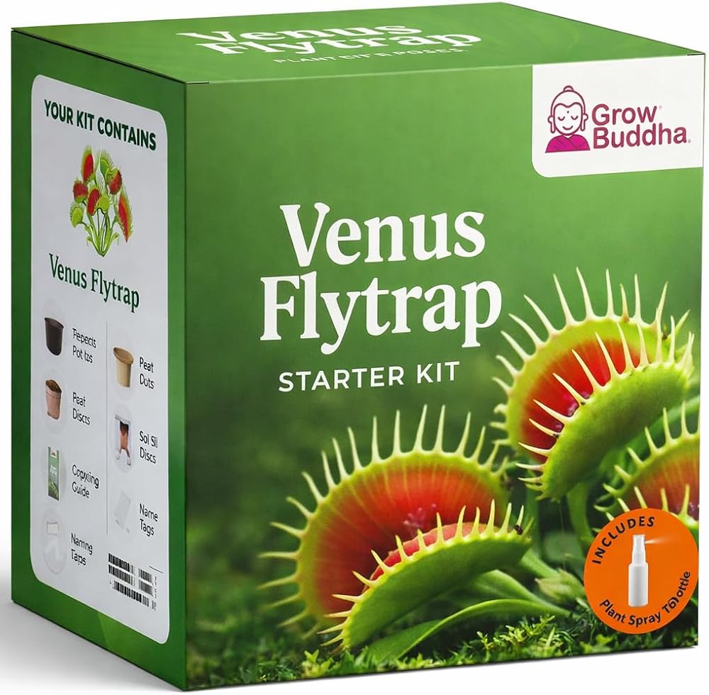 Grow Buddha Grow Your Own Venus Flytrap Kit – Carnivorous Plant Starter