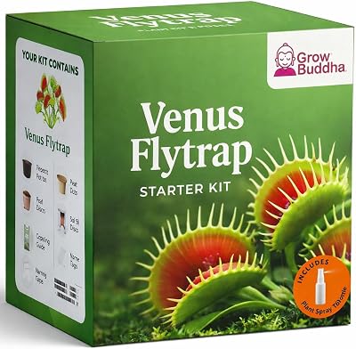 Grow Buddha Grow Your Own Venus Flytrap Kit – Carnivorous Plant Starter