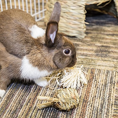 (3 Pack) Ware Manufacturing Natural Fun-E-Bunny Small Pet Chew Toys