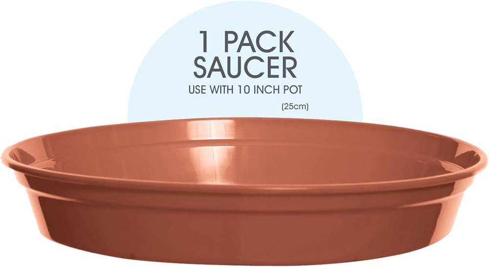 Whitefurze Basic Gardening Pot Saucer 25cm Terracotta Indoor Plant Tray