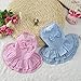 Gotd Cute Sweet Pet Puppy Dog Apparel Clothes Short Skirt Dress (M, Pink)