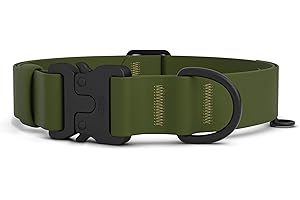 Säker (A Canadian Company) Waterproof Dog Collar - Adjustable Dog Collars for Medium Dogs - 1" Medium Dog Collar with Aluminu