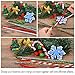 Caydo Christmas Pipe Cleaners Set, Including 120PCS Christmas Pipe Cleaners, 6 Sizes Pom Poms and 4 Sizes Wiggle Eyes for Kids DIY Arts & Crafts Projects and Christmas Decorations
