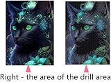 Tomoyuki 5D Diamond Art Kit Black Cat Diamond Painting DIY Pictures view 3