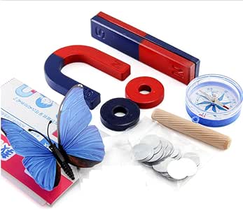 Kit De Imanes De Física Para Niños | Experimentos Educativos Con Imanes De Barra Y Herradura | Incluye Polvo Magnético Y Caja De Almacenaje