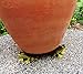 Animated Poly Resin Frog Shaped Pot Feet/planter Risers Set of 3