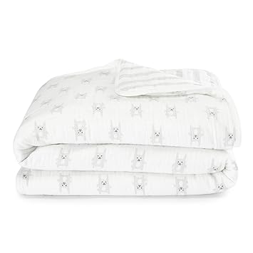 aden and anais flannel muslin blanket