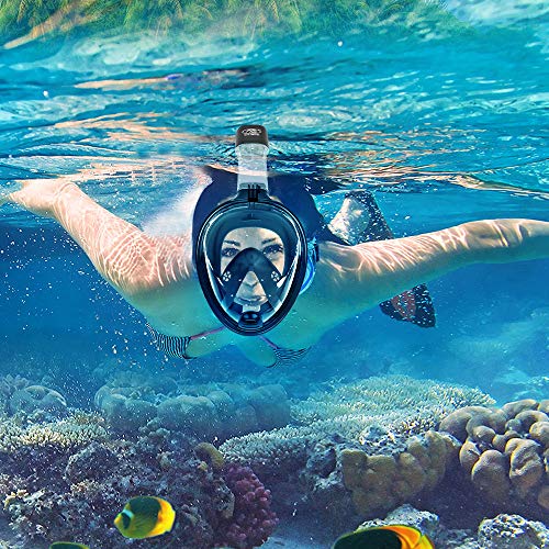 image for FEIYU CREATIVE Anti-UV Snorkel Mask Diving Mask for Adults & Kids, 180