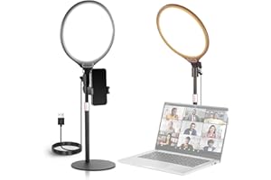 NEEWER Basics 10.5" Desk Ring Light with Stand/Phone Holder/Timer, 3000-6500K Full Screen 15W LED Selfie Panel Lighting for iPhone Recording Streaming Makeup Laptop Webcam Video Conference Zoom, R10