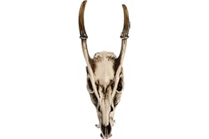 Beavorty Faux Ram Sheep Skull 3D Resin Animal Skull Skeleton Viking Head Sculpture Wall Hanging Art Collectible Decor Halloween Ornament