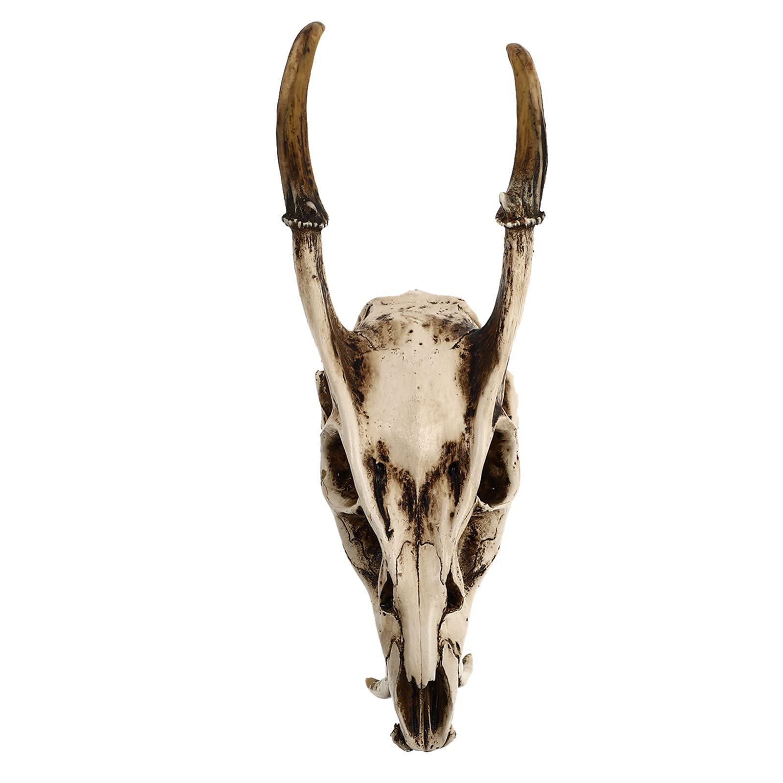 Healifty Faux Taxidermy Ram Sheep Skull 3D Resin Animal Skull Skeleton Viking Head Sculpture Wall Hanging Art Collectible Decor Halloween Ornament