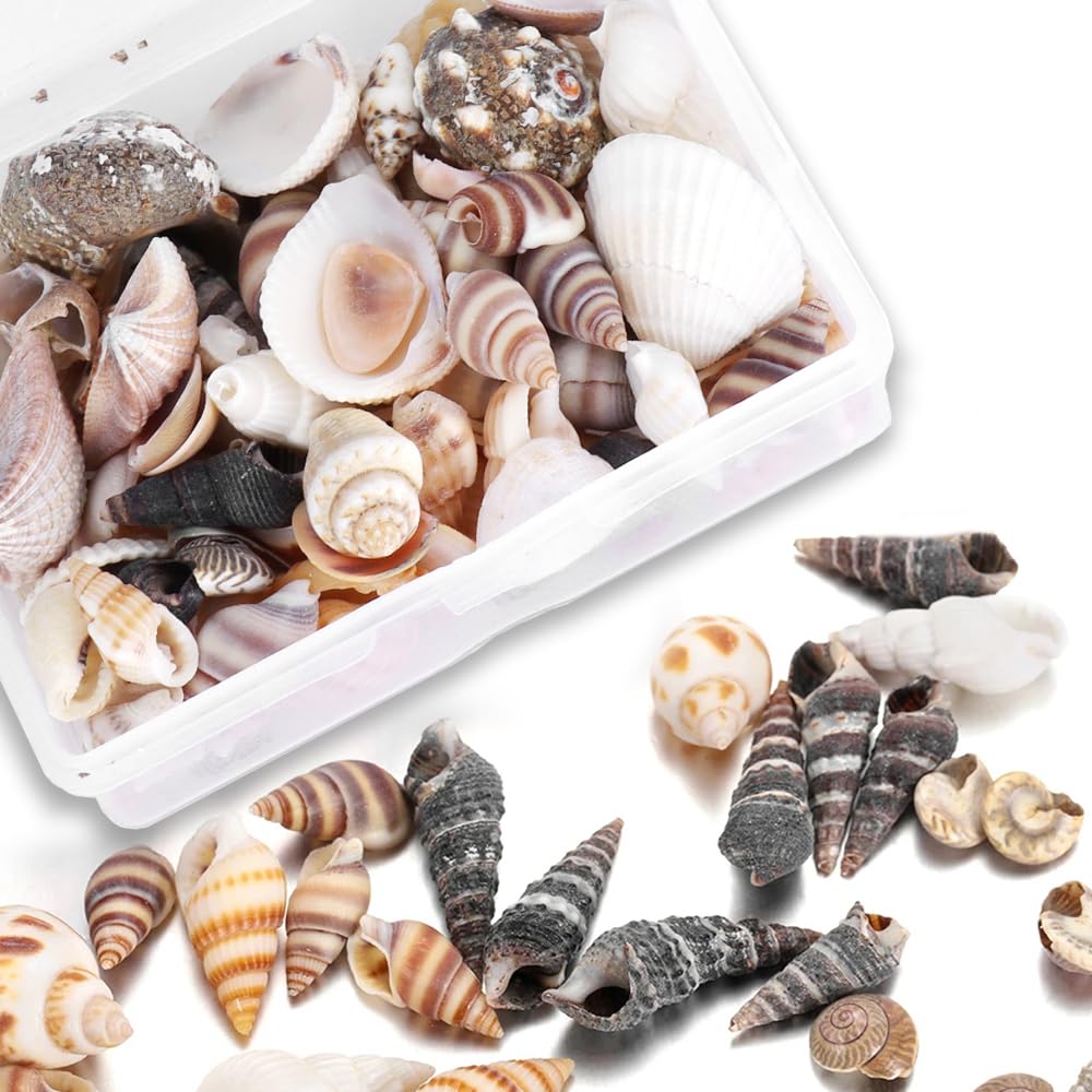 Hapivida Mixed Sea Shells, Tiny Sea Shells Natural Mixed Ocean Beach Spiral Seashells for Candle Making, Home Decor, Wedding Decor, DIY Crafts, Fish Tank and Vase Fillers