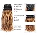 ABH AMAZINGBEAUTY HAIR Kinkys Curly Clip in Hair Extensions 3C and 4A Double Wefts Real Remy Human Hair Curly Clip ins for African Americans 120 Grams, 1BT27 Ombre Blonde Color 16 Inch