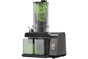 Catlyn Cold Press Juicer Machines, 5.3-inch Extra Large Feed Chute Easy to Clean Fruit Vegetable Jugos Professional Slow Masticating Juicer Machine Bpa Free