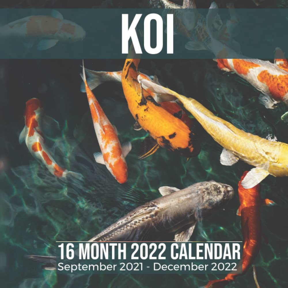 Fishing Calendar September 2022 Koi 16 Month 2022 Calendar September 2021-December 2022: Japanese Carp Fish  Square Photo Date Book Monthly Pages 8.5 X 8.5 Inch: Media, Joyful Bright:  9798773831563: Amazon.com: Books