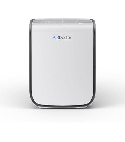 Amazon.com: Wellis Air Purifier for Home Bedroom Living Room