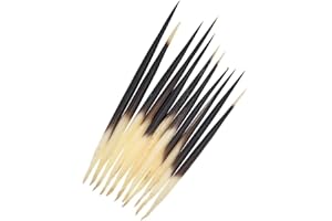 BWESOO 10Pcs Porcupine Quills Hair Stick Indian Crafts Accessories Fishing Buoy DIY 6 7 Sewing Project Kits