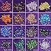 Lot 1600pcs Glass Bicone Beads - LONGWIN 3x6mm Crystal Finding Spacer Jewelry Making Supplies