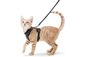 rabbitgoo Cat Harness and Leash for Walking, Escape Proof Soft Adjustable Vest Harnesses for Cats, Easy Control Breathable Reflective Strips Jacket, Black, XS