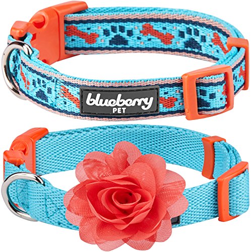 Blueberry Pet Pack of 2 Multiple Designs Mix and Match Sky Blue Dog Collar for Puppies & Small Dogs with Detachable Orange Flower Accessory, S, Neck 12″-16″