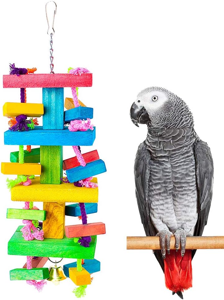 african grey parrot toys