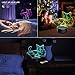 BEISHIDA Night Light 3D Pet Cat 3D Lamp Optical Illusion Nightlight Animals Bedside Lamp 7 Colors Changing LED Lamps with Remote Birthday Gifts for Girls Kids Baby Boys and Room Decor (Pet cat)