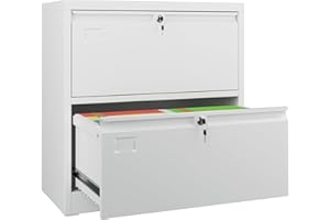 GangMei Metal Lateral File Cabinet, 2 Drawers Lateral Filing Cabinet, Office Wide Storage File Cabinet for Letter/Legal/A4 Size, Assembly Required