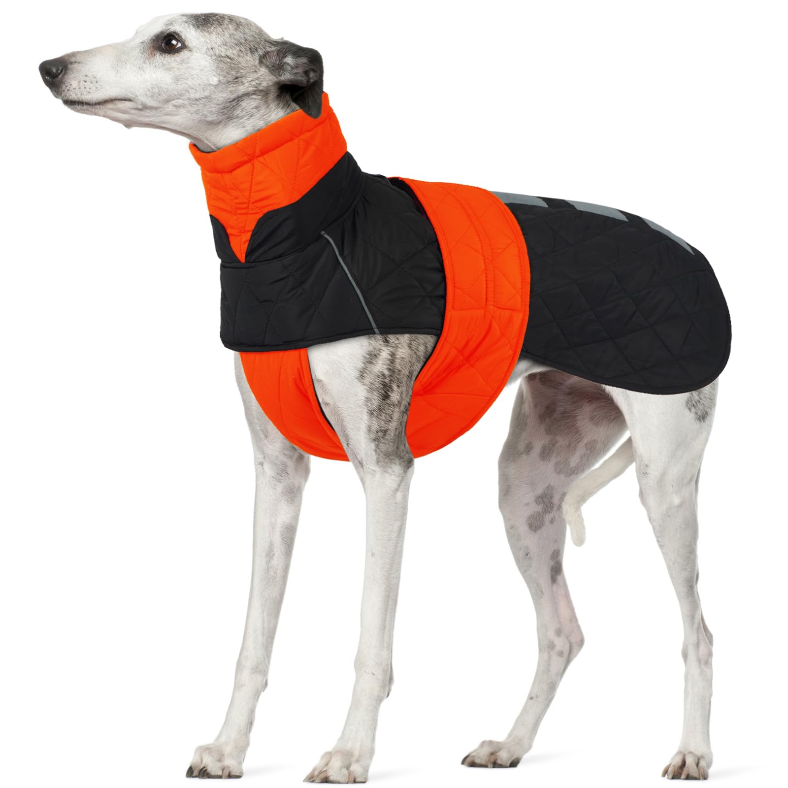 Greyhound Coat, Jumpers Thick Lurcher Dog Coats Greyhound Fleece Sweater Greyhound Winter Clothes with Reflective Stripes Enhance Visibility during Night Walks