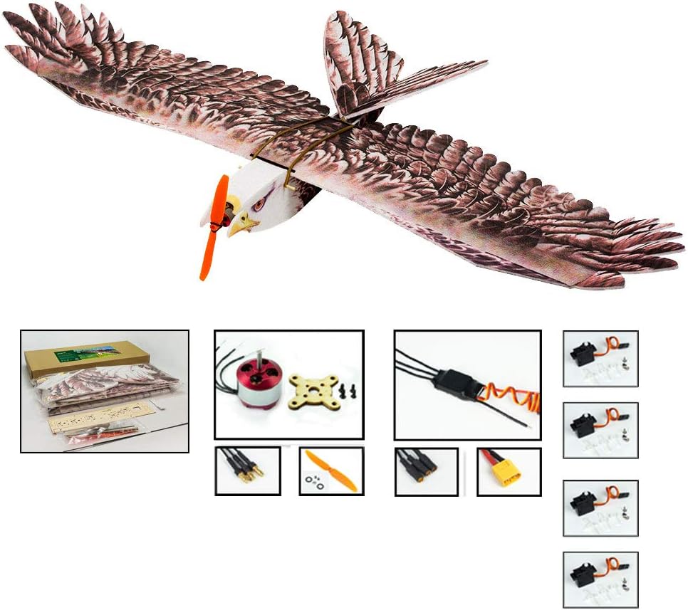 Dancing Wings Hobby 2019 NEW RC Model Aircraft trainers,EPP Biomimetic Eagle model palnes kits to build, Large wingspan 1430mm Remote control radio control Airpalne for adults (E1904)
