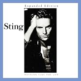 Nothing Like The Sun SHM Expanded Edition