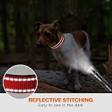 Taglory Reflective Nylon Dog Collar with Safety Buckle Red Size S view 5