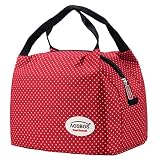 Aosbos Bolsa Térmica para Llevar Comidas Almuerzo Fiambrera Isotermica Porta Alimentos Nevera de Botella (rojo)
