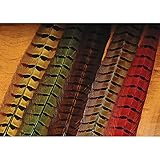 Hareline Ringneck Pheasant Tail Feathers Purple