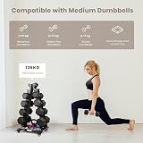 LIONSCOOL Dumbbell Rack Stand 5-Tier A-Frame Heavy Duty 136KG Load view 3