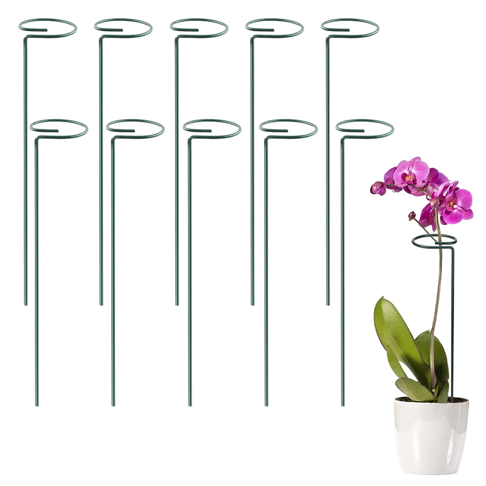 Reagia 10pcs Plant Support Stakes Steel Garden Single Stem Support Stake Plant Cage Support Ring for Flower, Lily, Rose, Tomatoes, Peony (40cm /15.8inch)