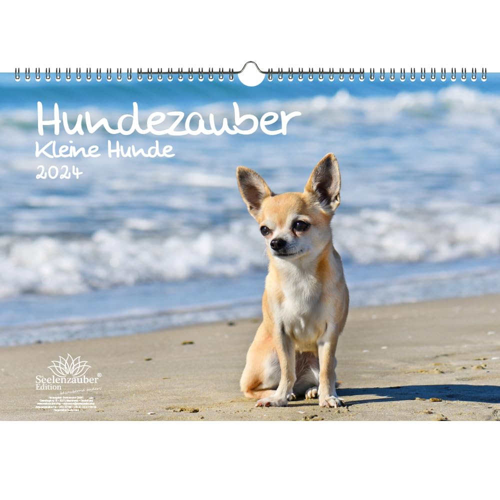 Hundezauber Small Dogs DIN A3 Calendar for 2024 Puppies and Small Dogs Seelenzauber