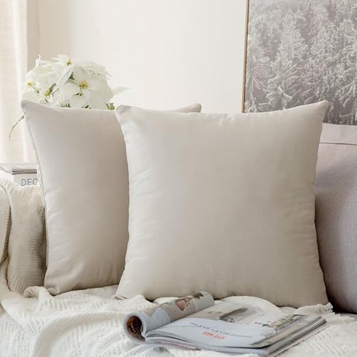Miulee Velvet Soft Soild Microfiber Decorative Square Pillow Case