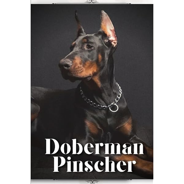World of Doberman Pinschers: Nicholas, Anna Katherine