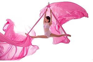 DASKING Aerial Silks Starter Kit - Durable 11Yards of Aerial Yoga Hammock with Hardware, Aerial Swing for Acrobatic Flying Yoga & All Levels (Aerial Rigging Point Up to 14ft)