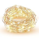 HOPDAY LED String Lights, Copper Wire Lights For Seasonal Decorative Gardens Christmas Holiday Wedding Parties Home Bedroom Warm White (100 leds 33 ft)