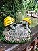 Solar Powered 2 Baby Turtles on Stone Outdoor Accent Lighting LED Garden Light Decor